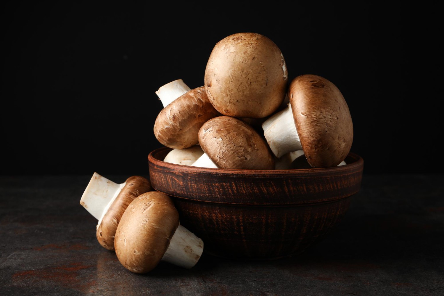 Champinjon (Agaricus campestris)