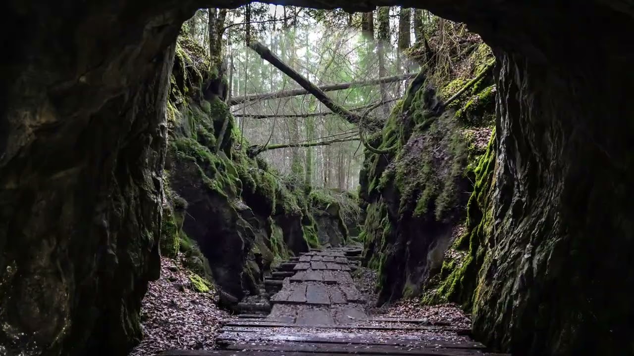 Limstensgruvorna – gamla kalkstensgruvor och artrik gammelskog i Närkeskogen