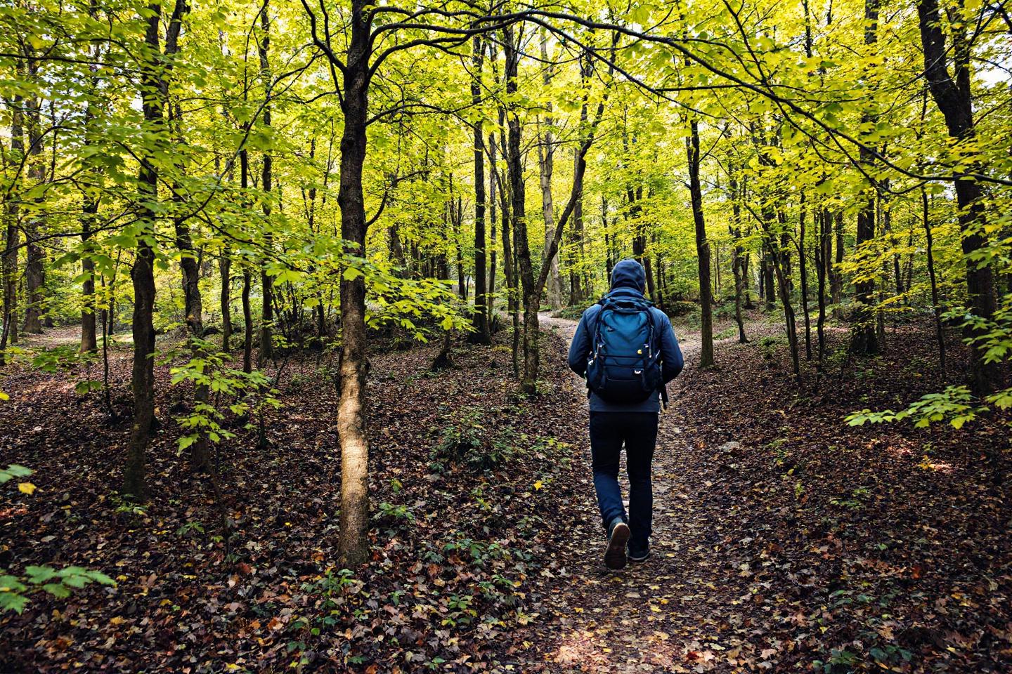 Pilgrimsvandring – din guide till en transformativ upplevelse