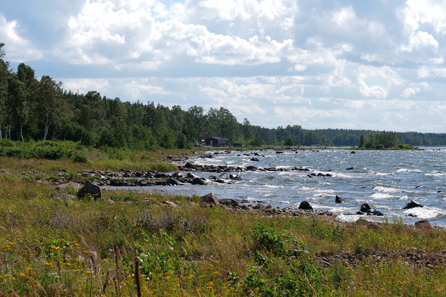 Sveriges största sjöar: lista, djup & fakta
